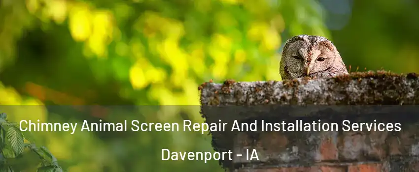  Chimney Animal Screen Repair And Installation Services Davenport - IA
