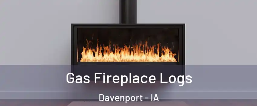  Gas Fireplace Logs Davenport - IA