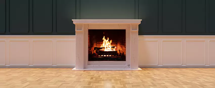Napoleon Electric Fireplaces Inspection Service in Davenport, Iowa