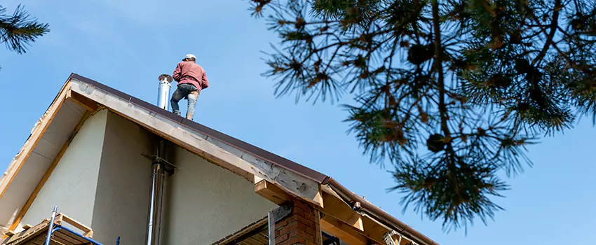 Birds Removal Contractors from Chimney in Davenport, IA