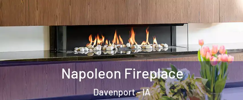  Napoleon Fireplace Davenport - IA